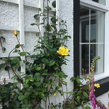 Kennels Cottage Stirling Extérieur photo